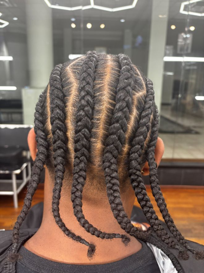 The back of a head of thick feed-in braids running straight back and hanging loose at the ends.