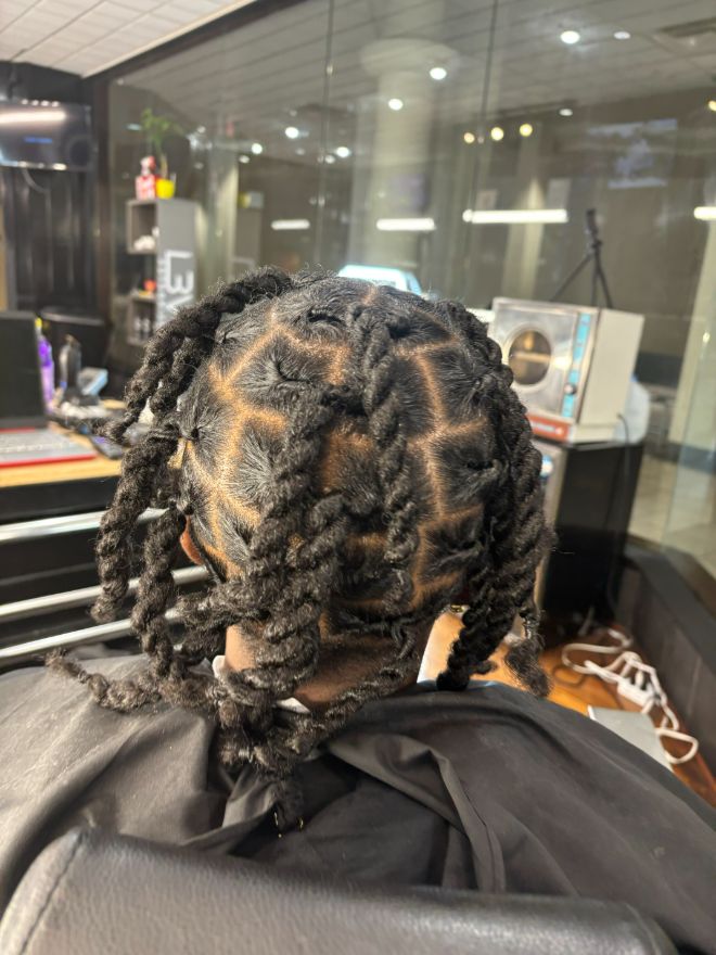 The back of a head of two-strand twists sectioned in even squares.